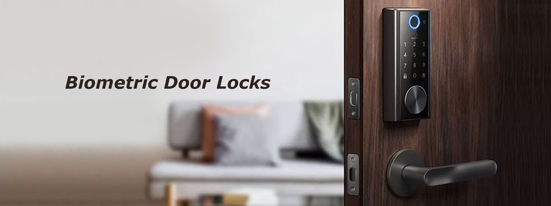 biometric door locks