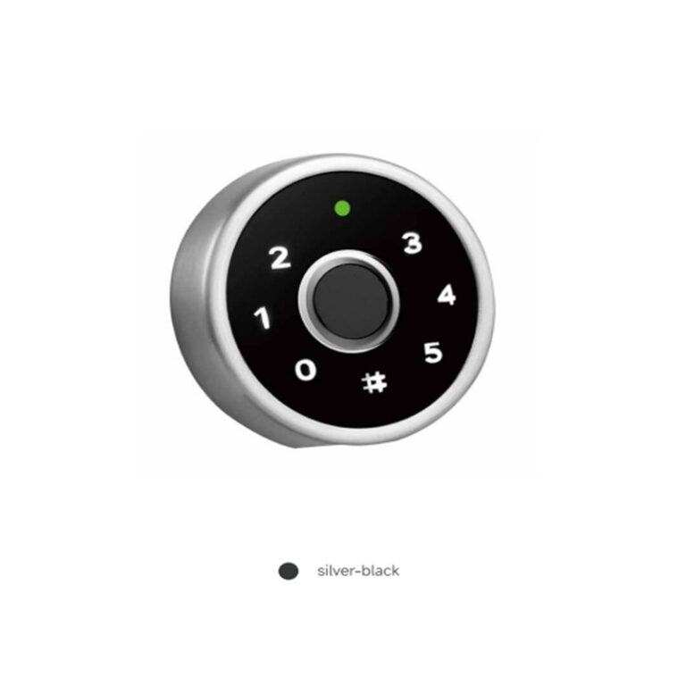 closet lock 1
