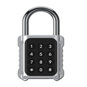 door padlocks