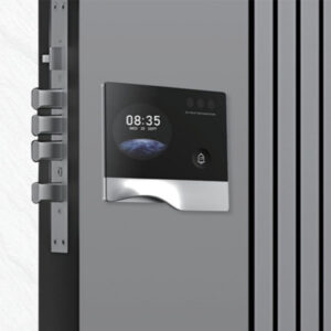 embedded smart lock