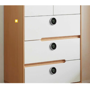 fingerprint drawer lock 2
