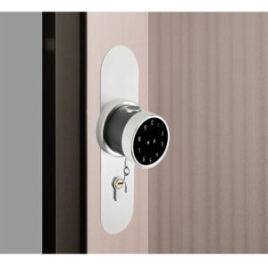 knob with lock