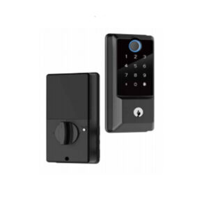 matter smart lock