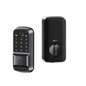 voice controlled lock