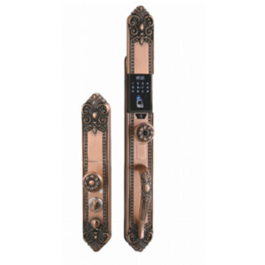 antique door handle lock 2