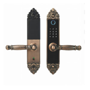 antique door handle lock