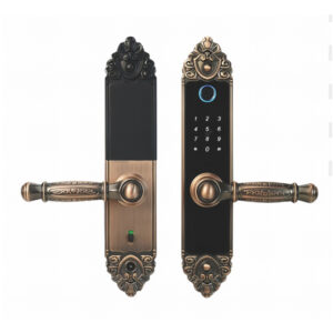 antique door lock 1