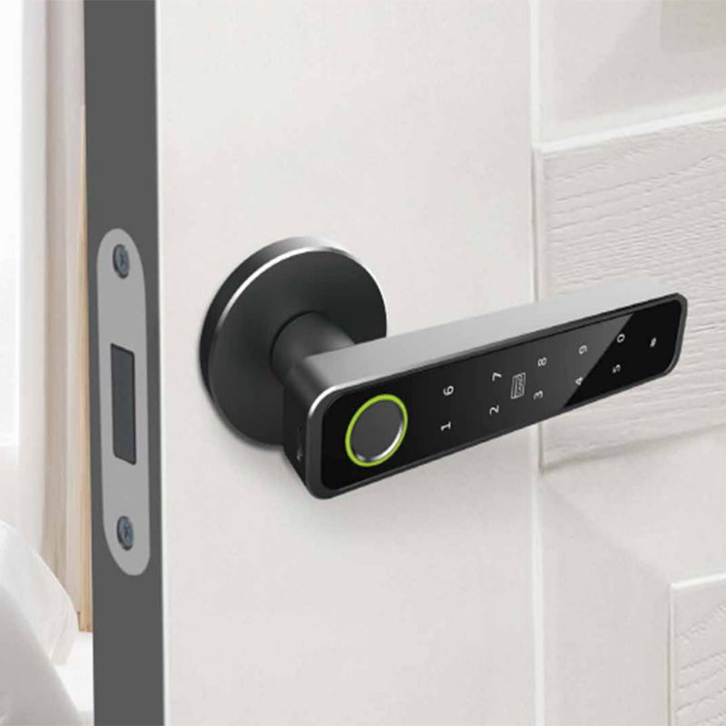 Door Handle Digital Lock: Top OEM Features Buyers Need