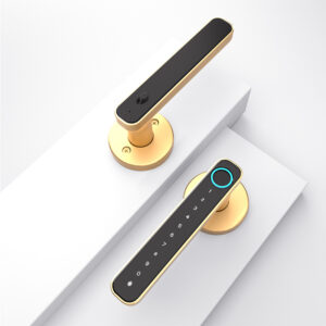 electronic door knob