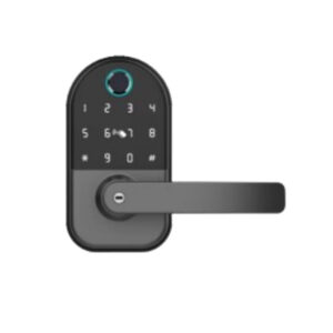 password door lock