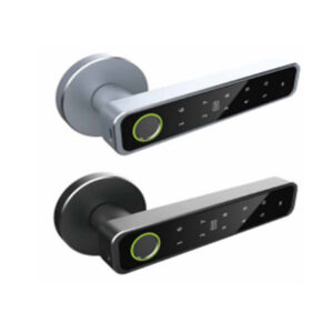 keyless entry door handles