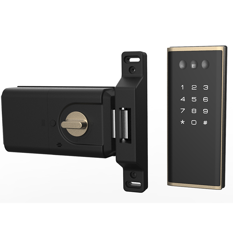 Rim Locks – High-Security Keyless Entry
