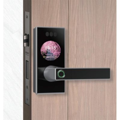 electric doorknob
