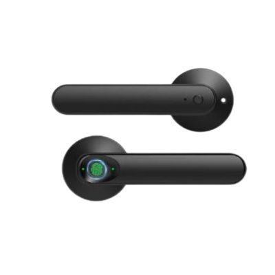 matte black door handles with lock